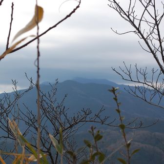 今日の岩橋山、葛城山、金剛山⛰️