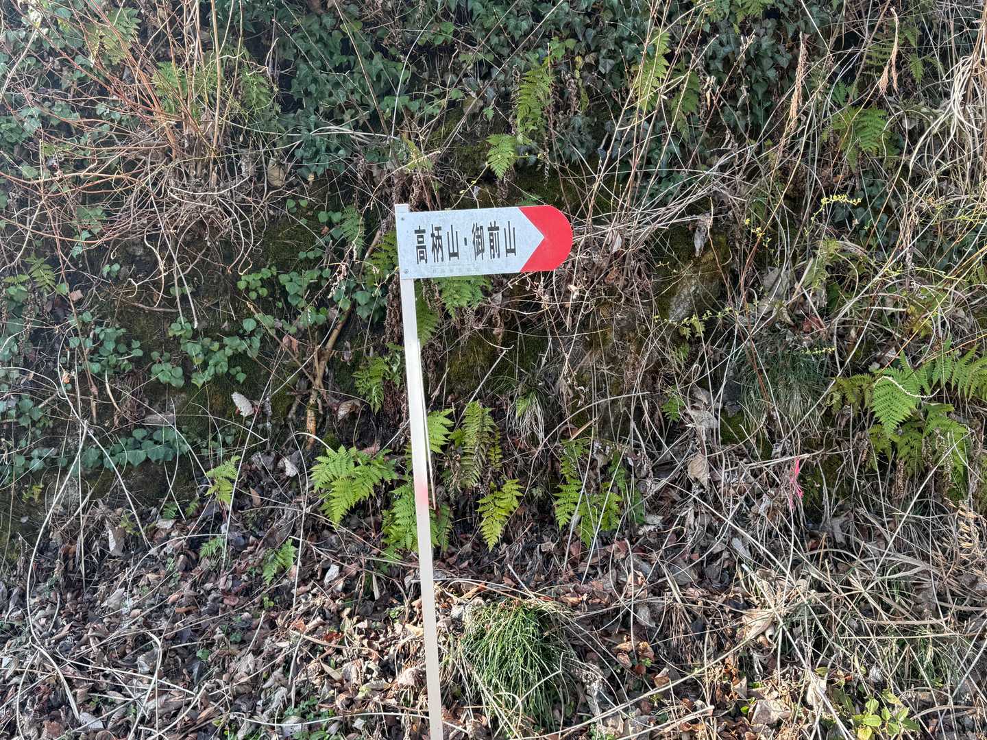 JAクレインを過ぎると高柄山の標識がある
あとはずっとフォローすれば道迷いなし