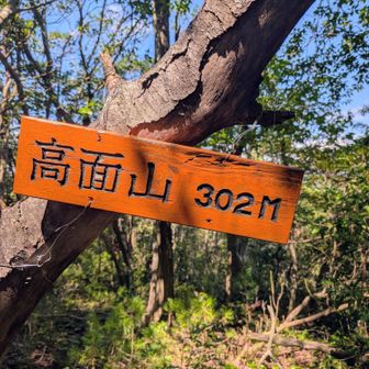 ㊗️高面山🎉