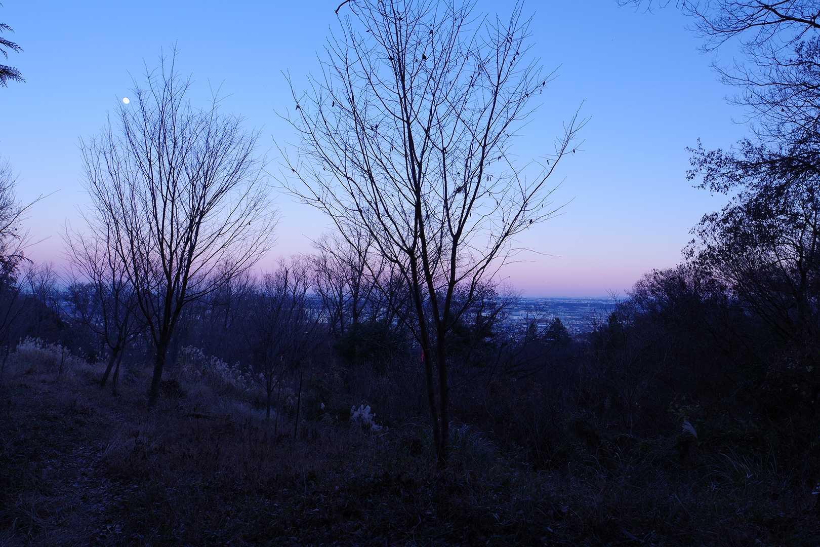八菅山 往復コースの写真