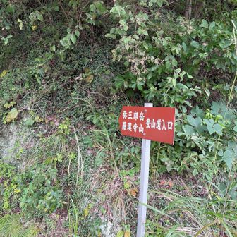 登山道入口