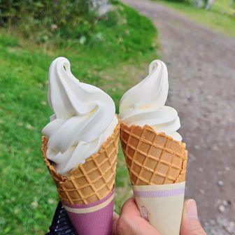 もちろんソフトクリーム乾杯♪
美味しいソフトクリーム、ご馳走さまでした

最後までご覧いただき感謝します