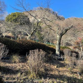 今年一年お疲れ山でしたー