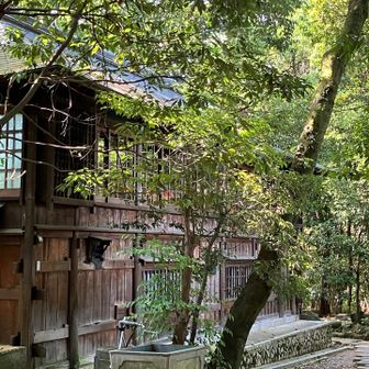 茂庵のヨコ通過