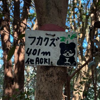 八大竜王北峰 401m

切原峠から最短コースなら1.4km程度で1時間も掛からないが、かなり遠回りをして来ました。
約10km、4時間掛かった。いかれたコース設定です😆