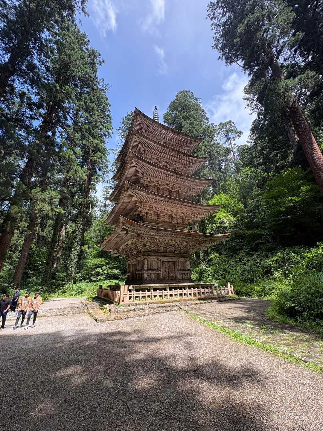 ④出羽山(庄内)
ザ・観光地、石段を永遠と登って山頂の奥宮へ。石段で立ち止まって休憩する方や並んで歩く方々をかわす技術が必要。