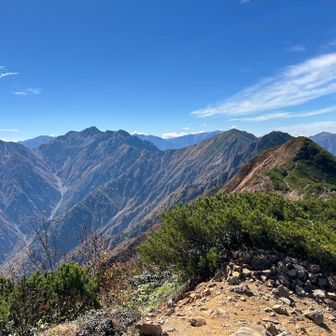 真の山頂？ピークこんな感じ。