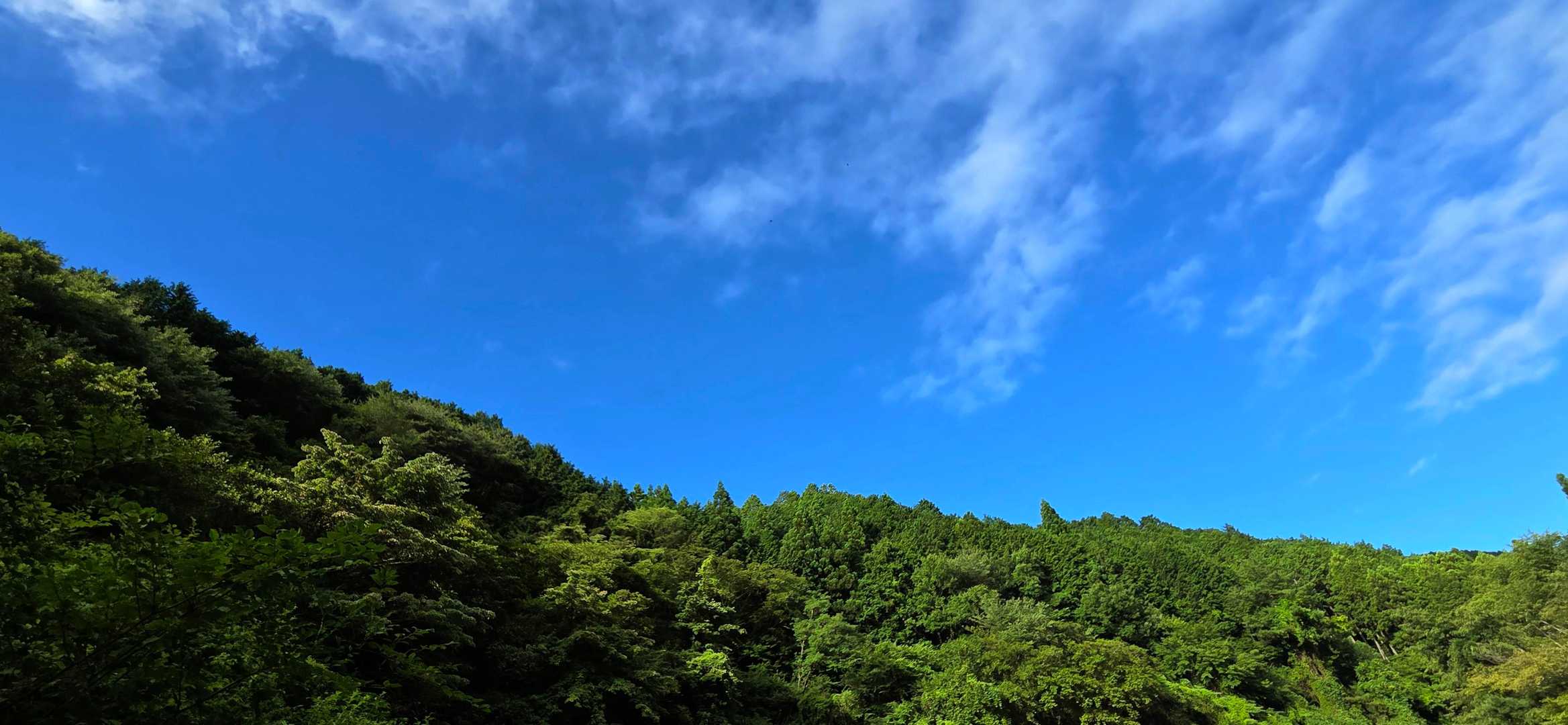 駐車場まで戻ってみたら青空