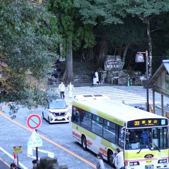 かけぬけ道と言われる道ですが駆け抜けずにここまでゆっくりと歩いてきました。
つぎは那智の滝に向かいます。