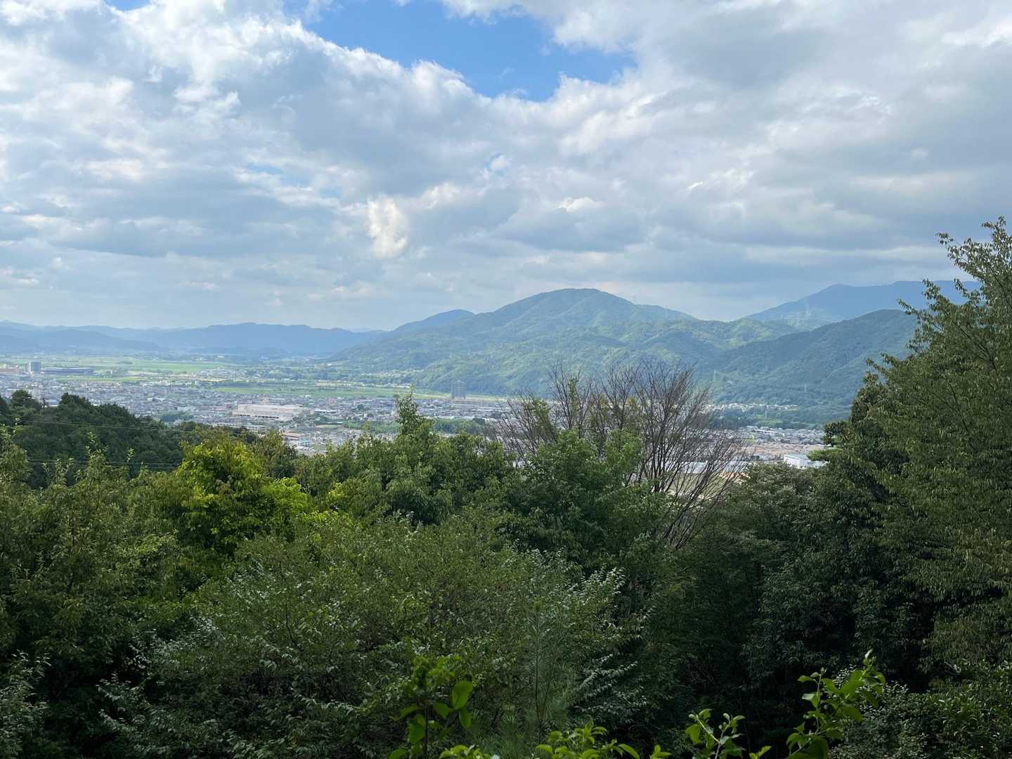 長尾山 周回コースの写真
