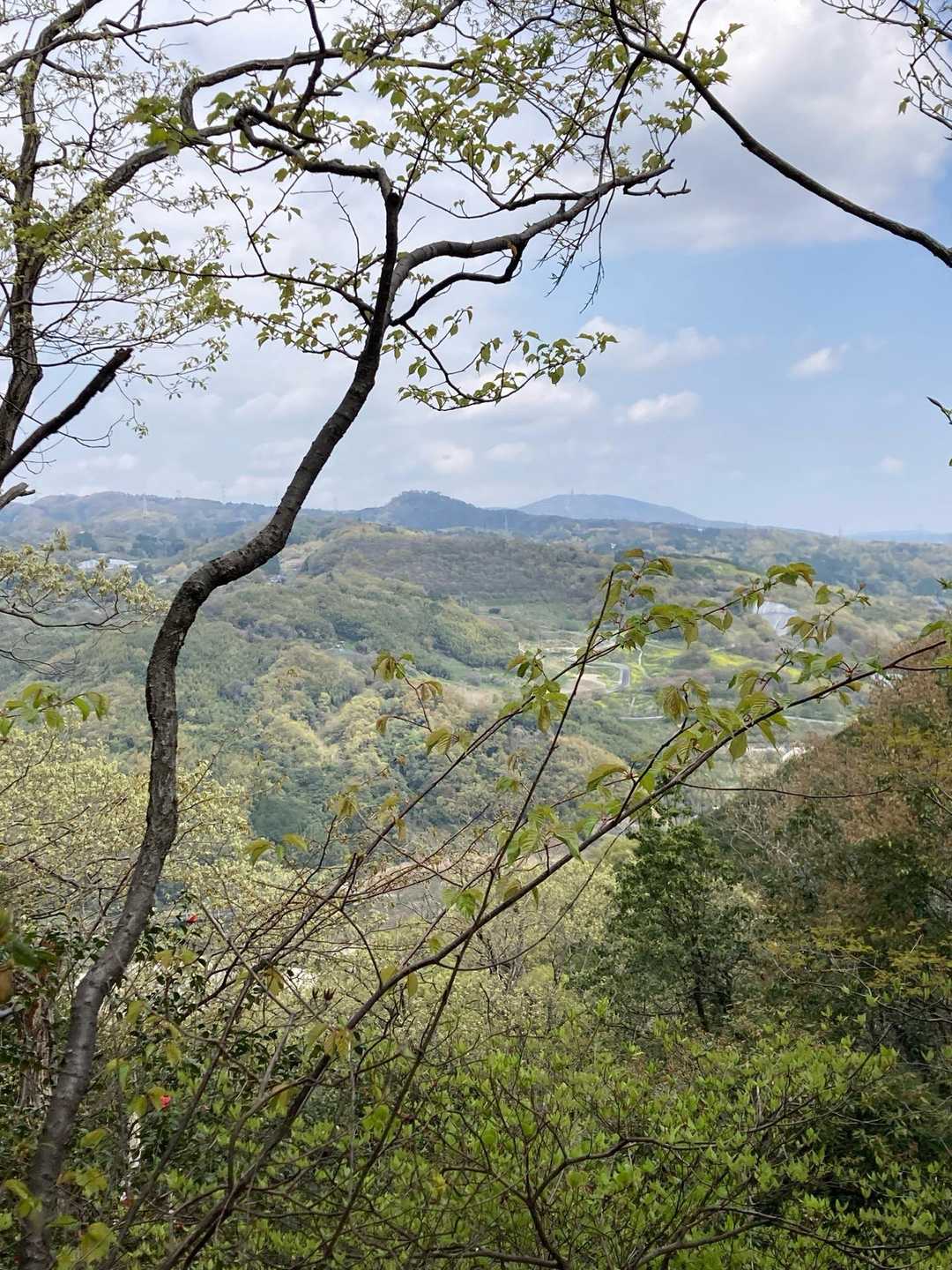 生駒山が遠くに