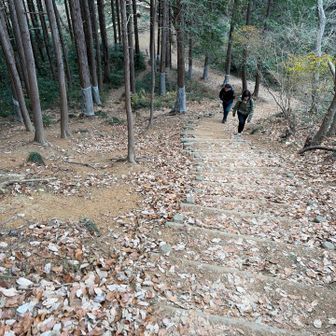 結構な坂を降ります