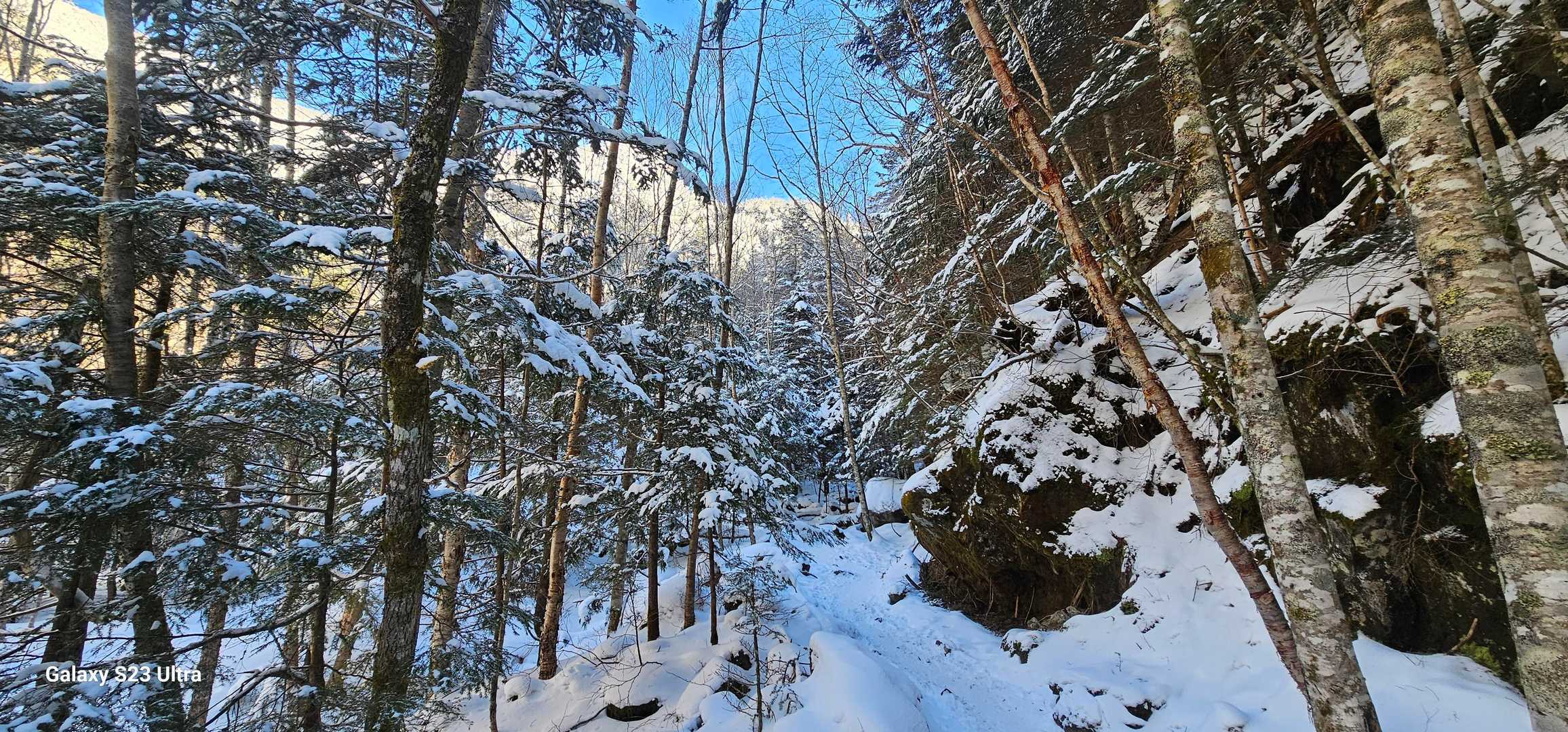 雪山❄最高〜‼️