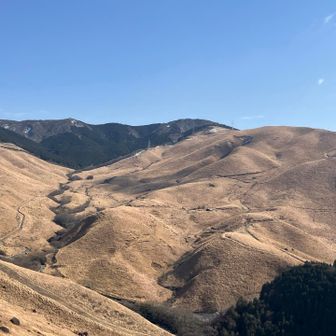 いい景色だなぁ…と