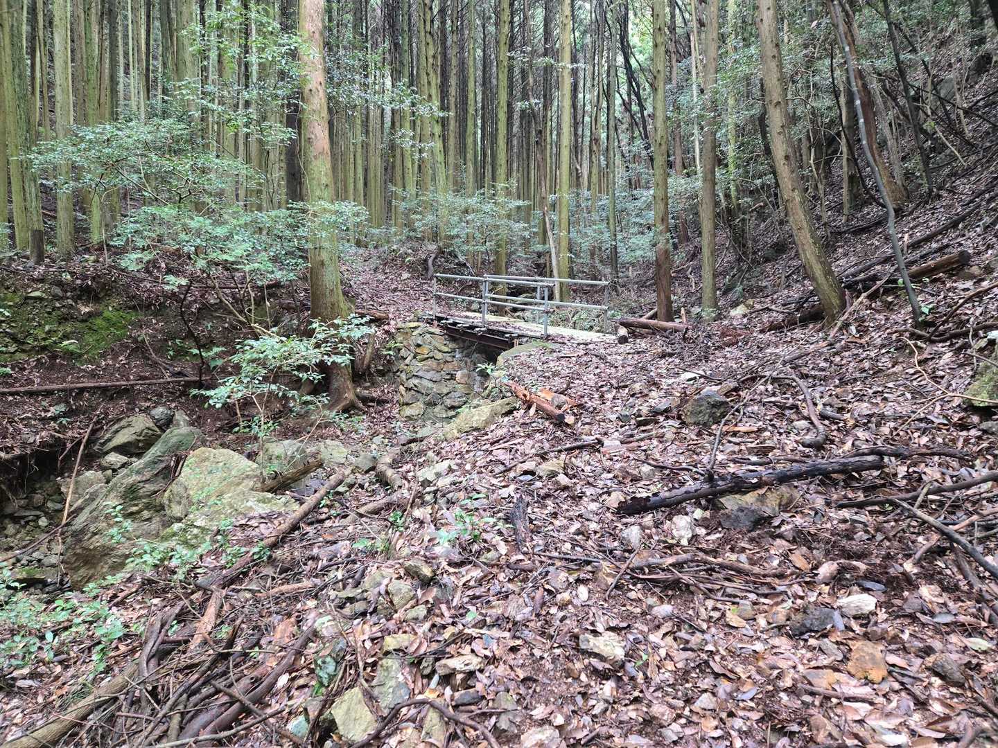 蓮華山 往復コースの写真