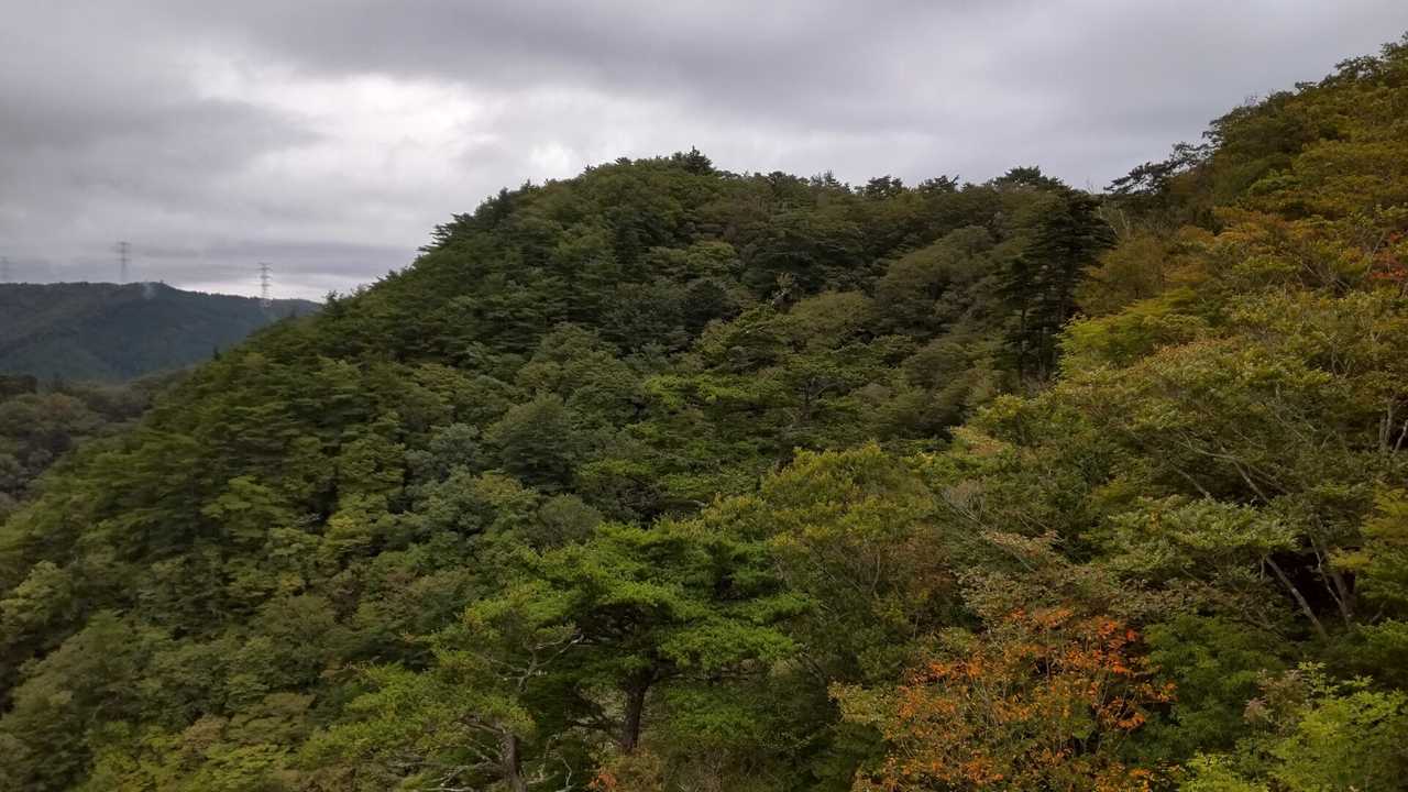 二ッ箭山の最新登山情報 / 人気の登山ルート、写真、天気など | YAMAP