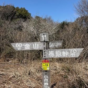 お初の小爪峠^ ^。
YAMAP軌道を見るとそろそろミカエルさんがこっちに向かってる。早いな‼️。