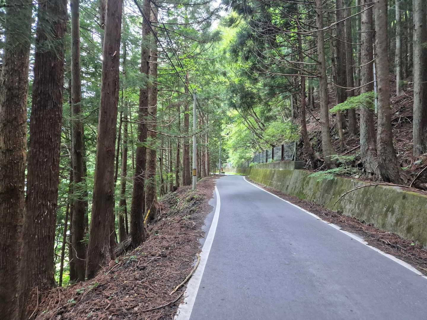 めちゃ長い下りで疲れ果てました🫠
この後、無事に駐車場到着🚗