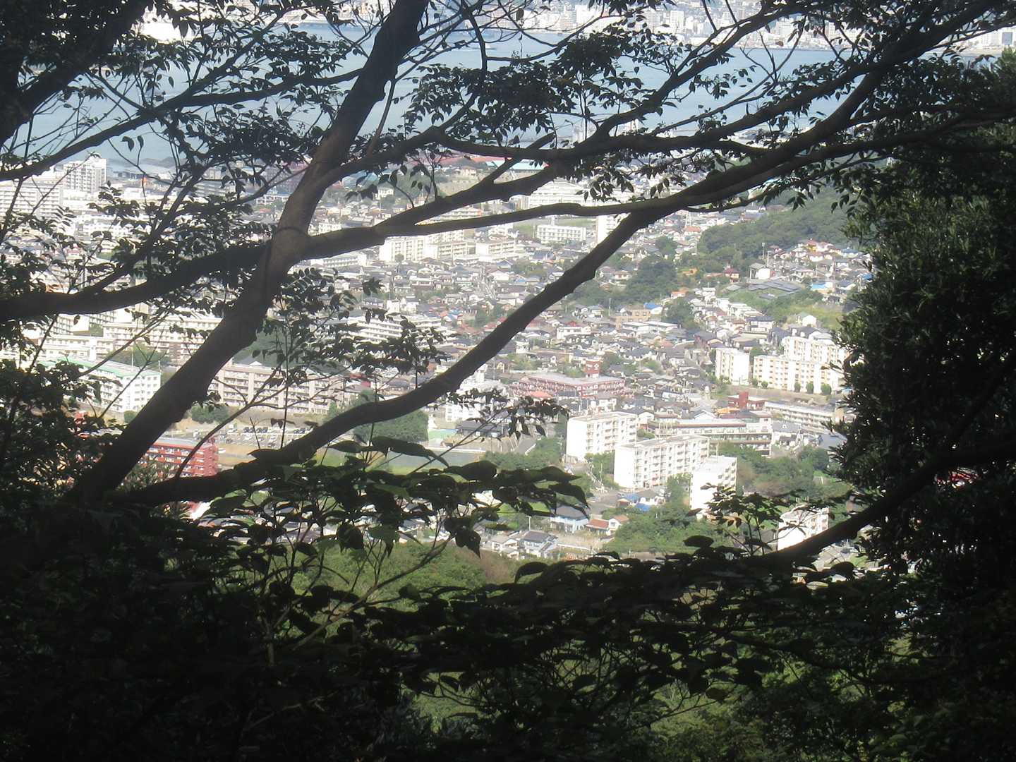 市街地がチラリ