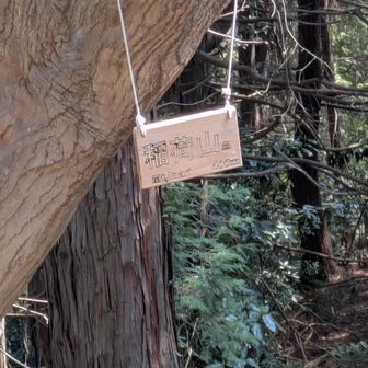 山札もあった♪