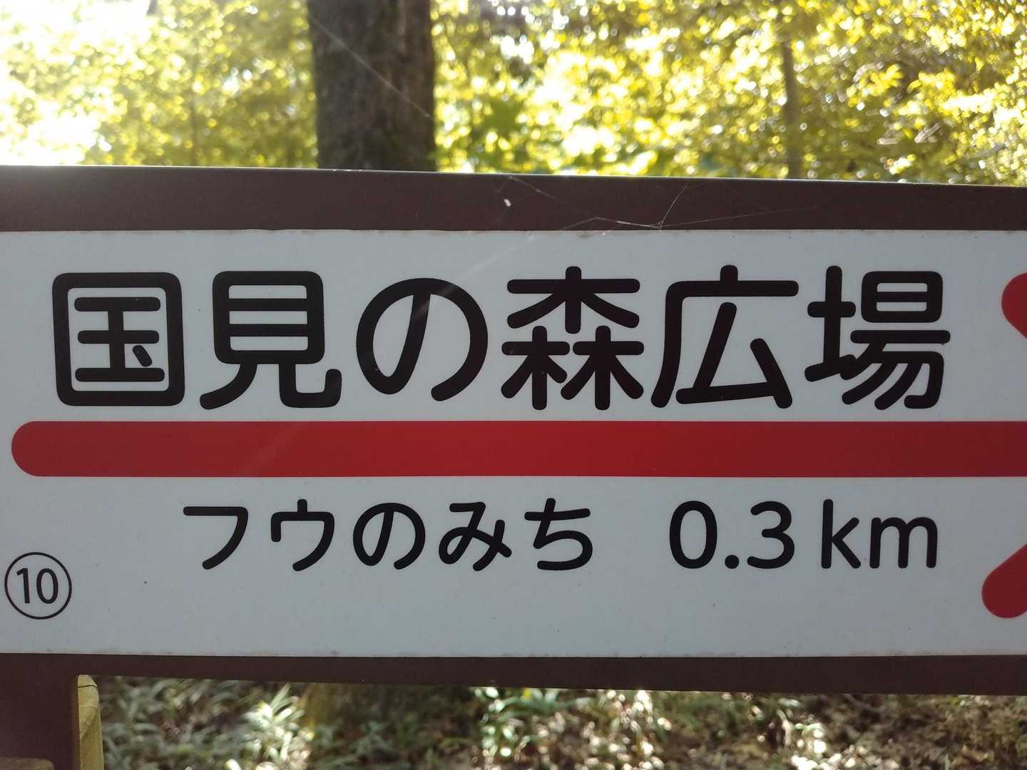 フウあるかな…フウってなあに？　ずっと、気になってました🍃