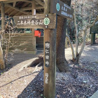 粥仁田峠から橋場のバス停に下ります。