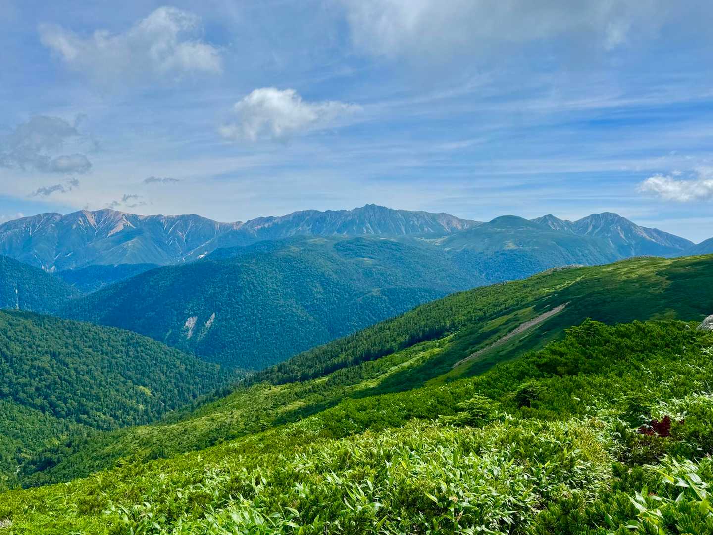 赤牛　水晶　ワリモ　鷲羽

裏銀座
おーーーるすたーーー✨✨✨