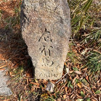 本日は紅葉谷コースで有馬へ。