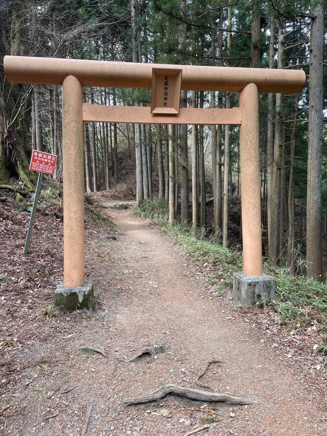 日の出山方面から御岳神社⛩️