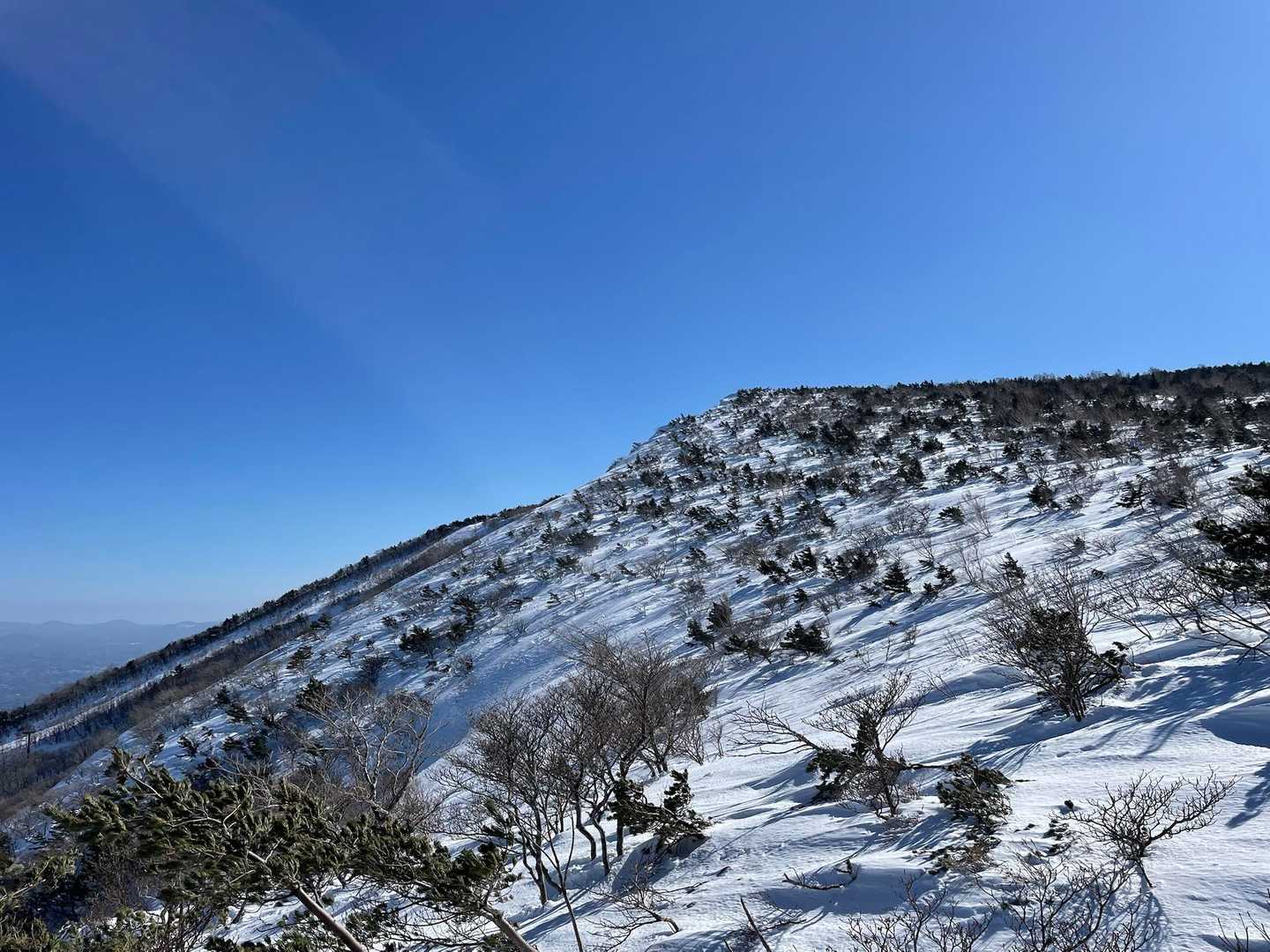 戻り道からの薬師岳を振り返る