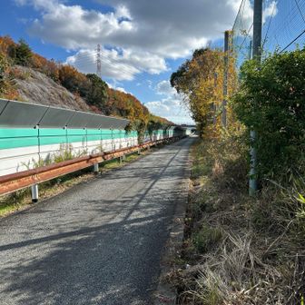 しばらくバイパス沿いの道を歩いて、
またぎます。