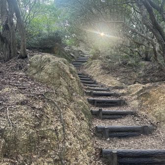 たまたま神々しい写真が取れましたｗｗｗ
急登で意識が飛んでいるのをスマホが酌んでくれたのかもしれません😆