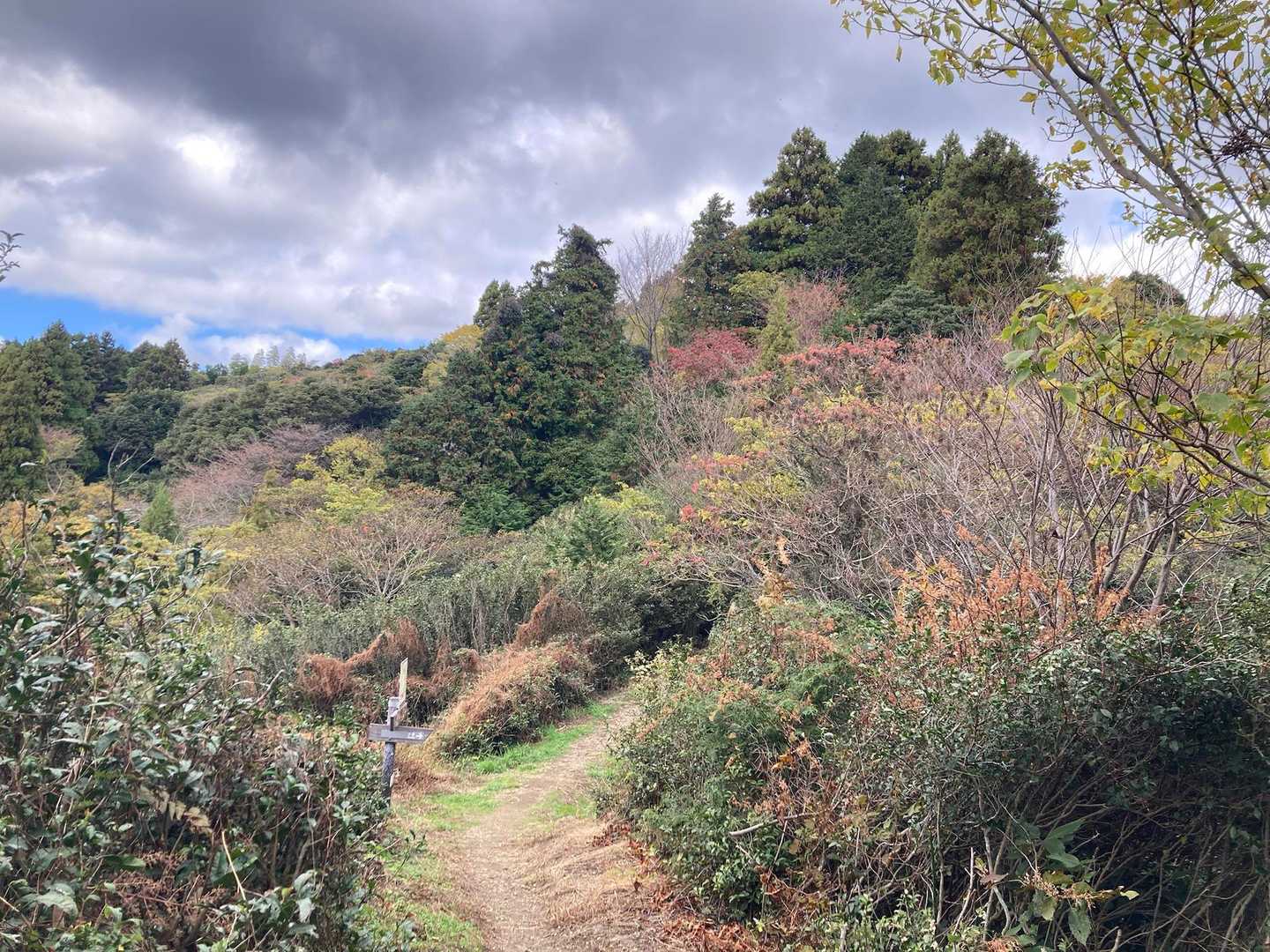 花沢山-日本坂峠-満観峰-鞍掛峠 周回コースの写真