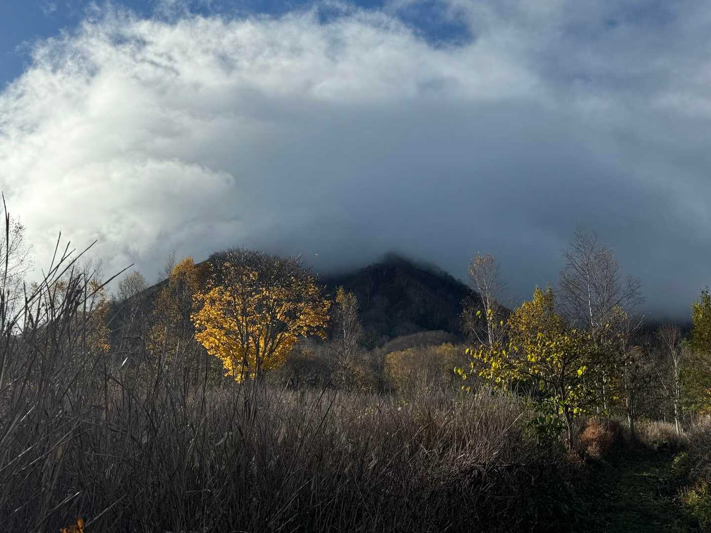 山頂は雲の中ですね？
今日は別目的なので期待しません。