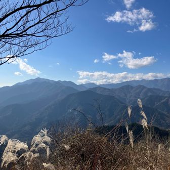 経ヶ岳山頂からの展望
大山、三ノ塔、鳥尾山、行者ヶ岳、塔ノ岳