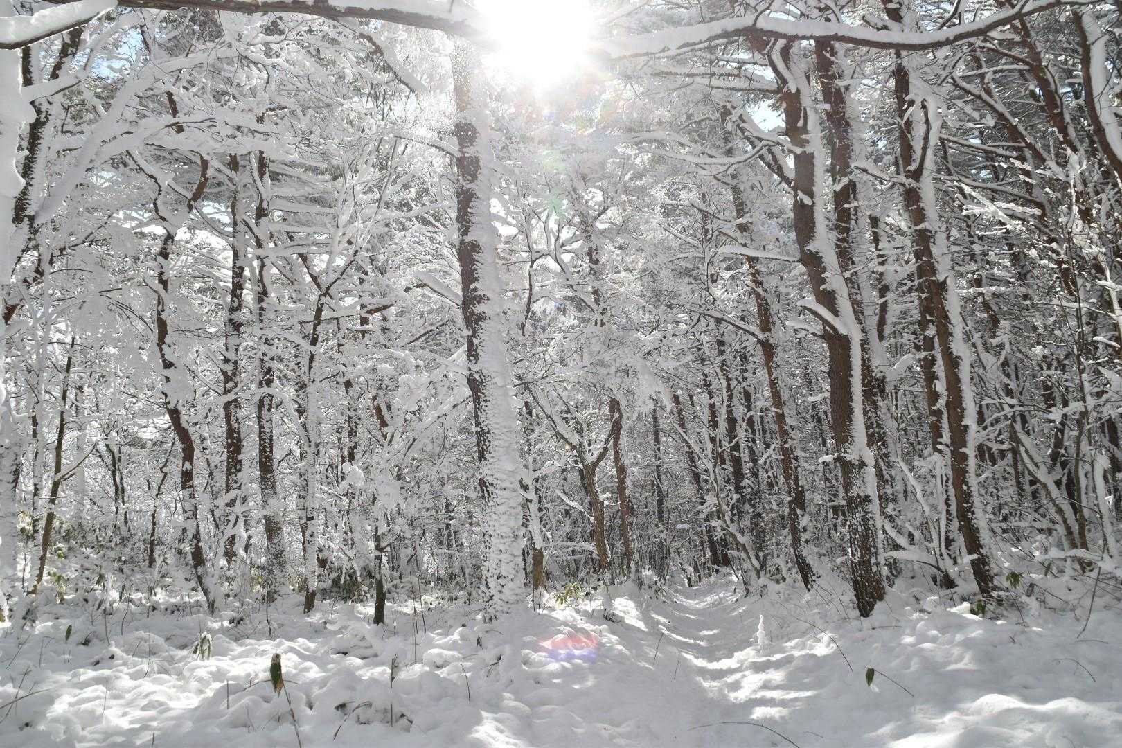 いや眩しい。