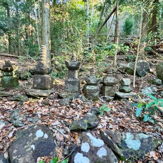 石塔が並んでいました