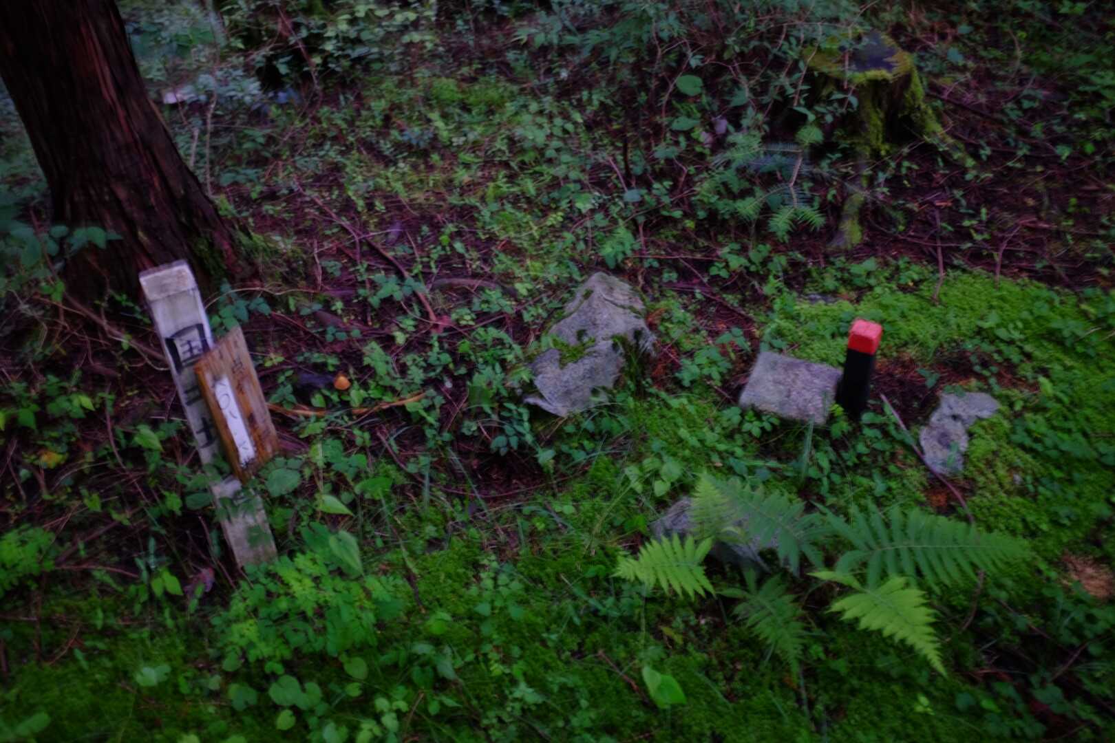 羽黒山の写真