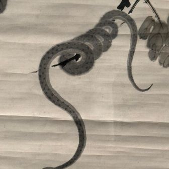 蛇🐍