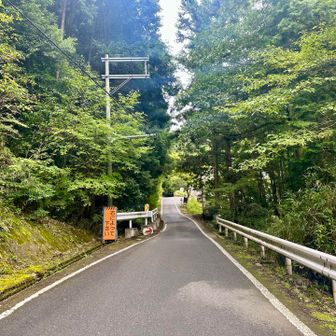 新しい道と合流後、道はさらに細くなっていく。