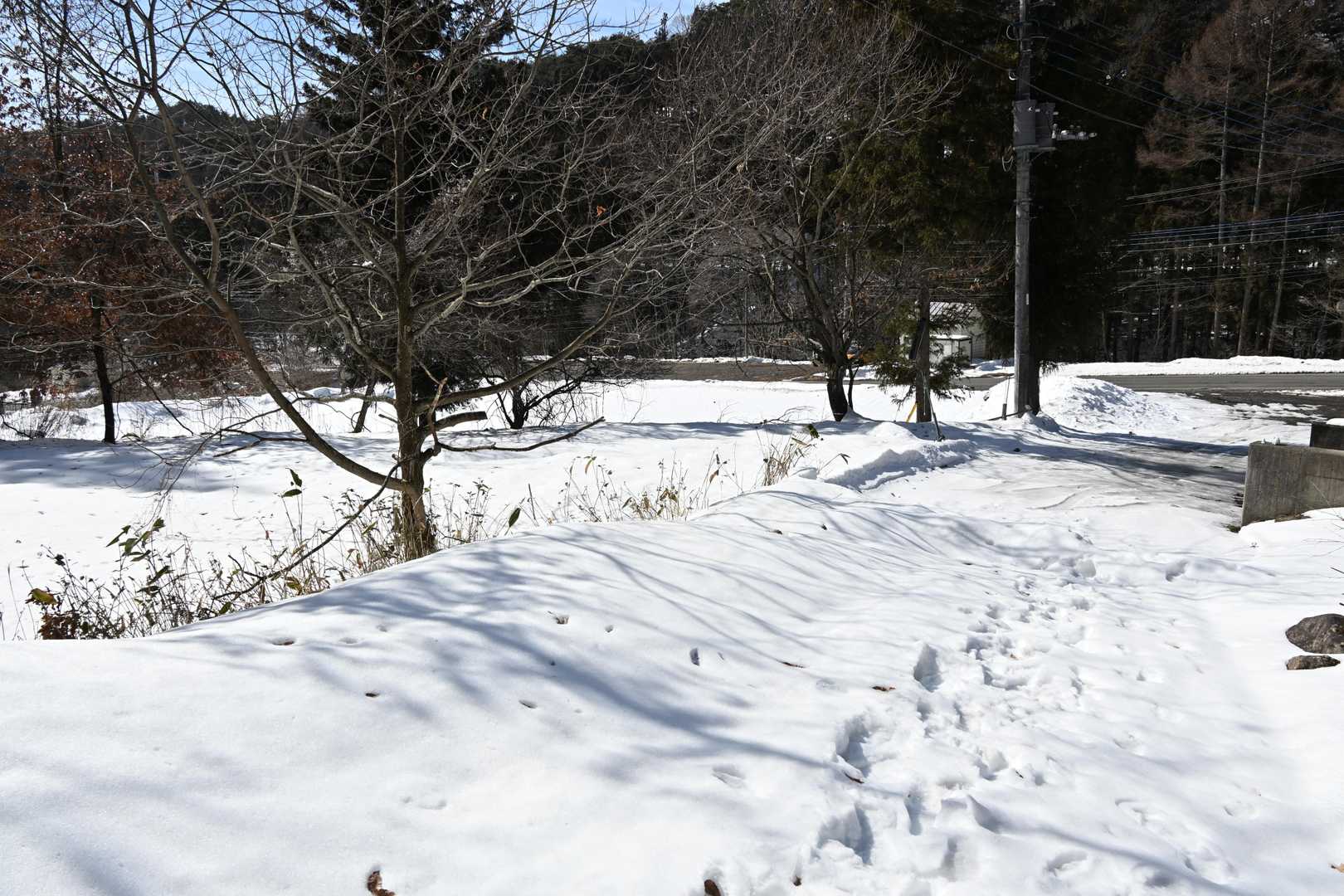スタート地点まで戻ってきました。いや～のんびり楽しい雪山ハイクできました♪おつかれ山でした！