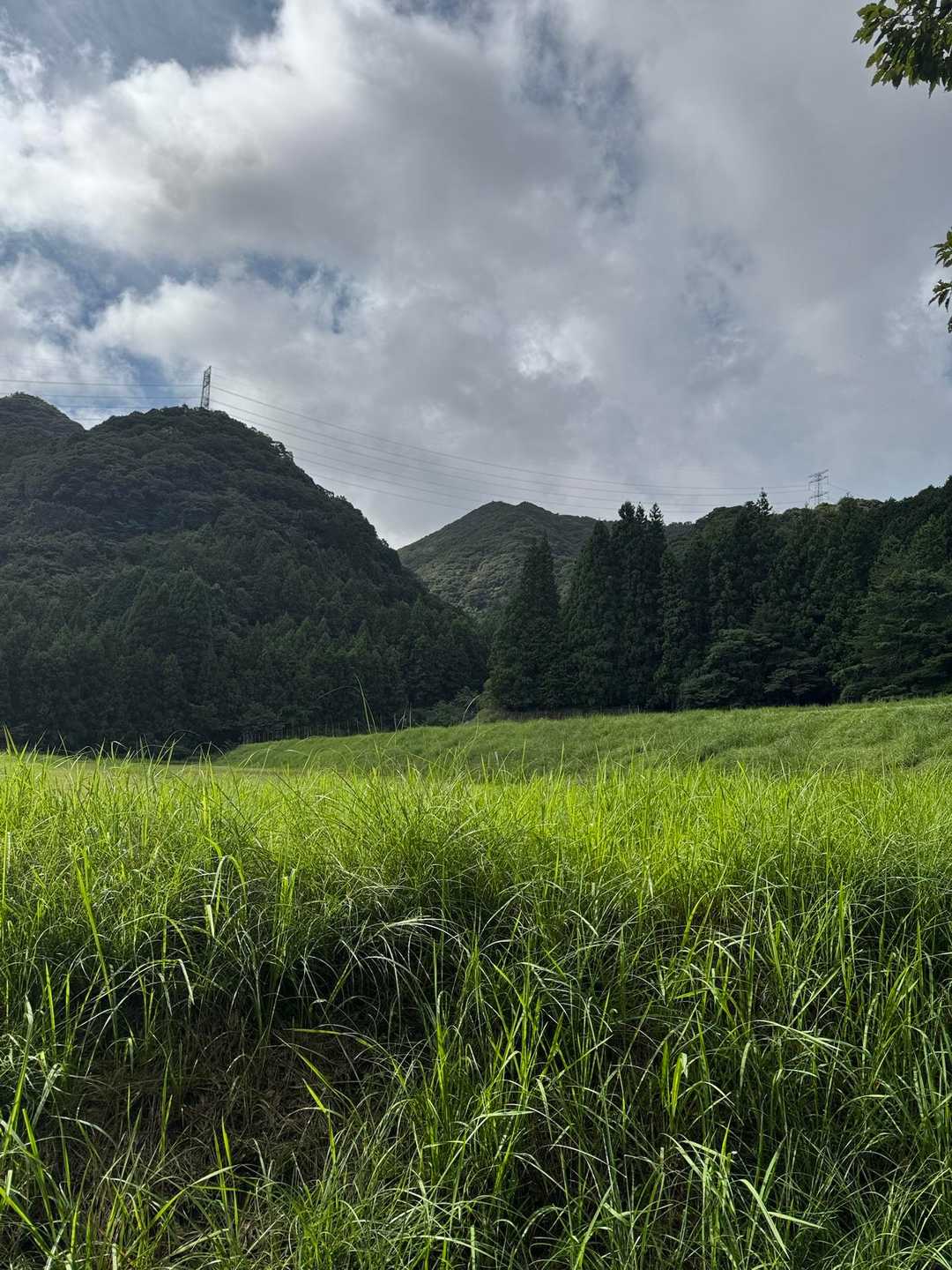 無事げざん
奥に見えるのが花尾山