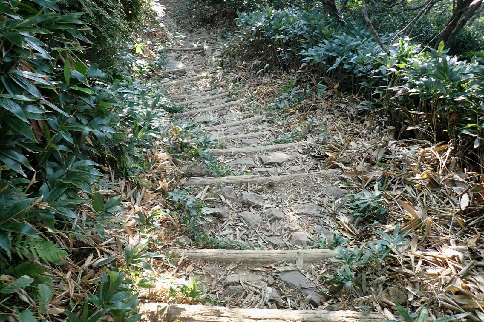 最後の階段がコシにくる…

今季は行程５km/標高差５００mが、
ちょうど良さげな感じかな💦
