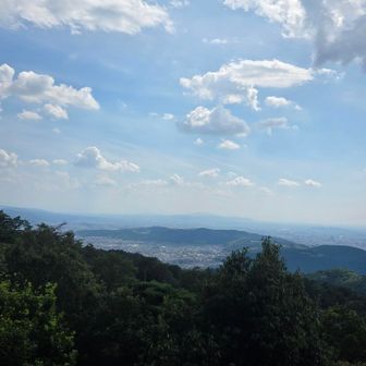 火床からの眺めは絶景だけど
山頂からの眺めもよき☺️