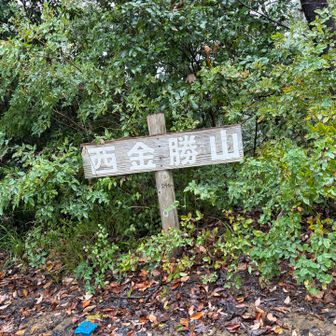 西金勝山⛰️