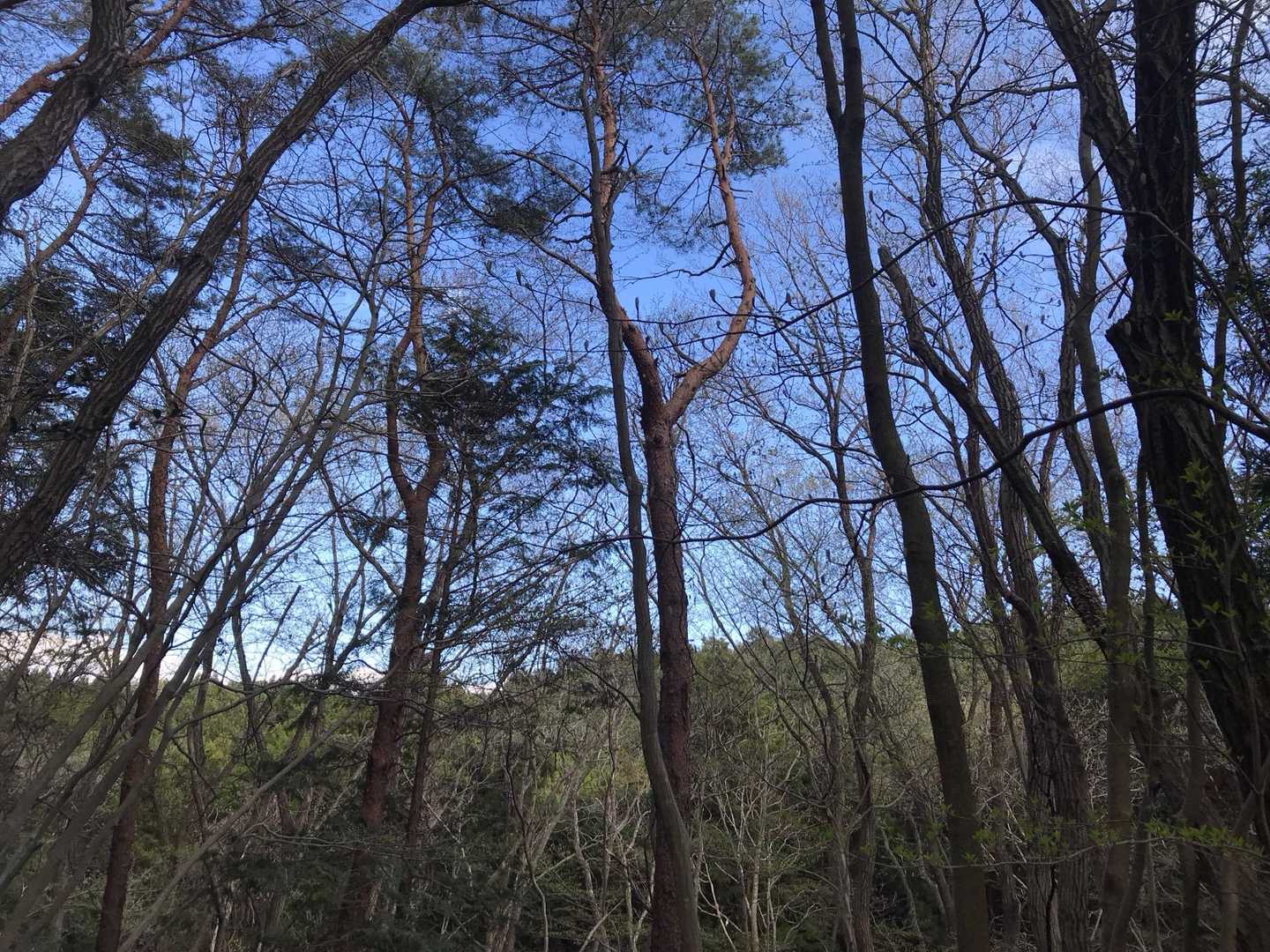 なかなか景色が見れません💦
