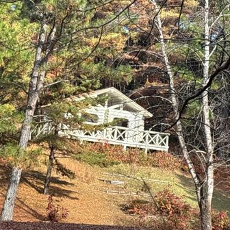 森林植物園　シアトルの森付近