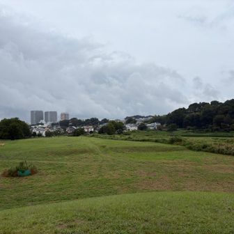 くじら山の山頂から武蔵小金井の方向を眺める。誰もいない。