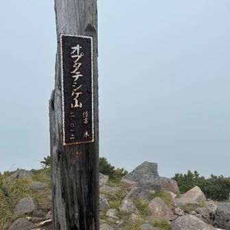 やっとやっと来れました😭