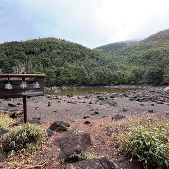 下った先のそのまた先
ちっちゃーな池です
水溜まりか